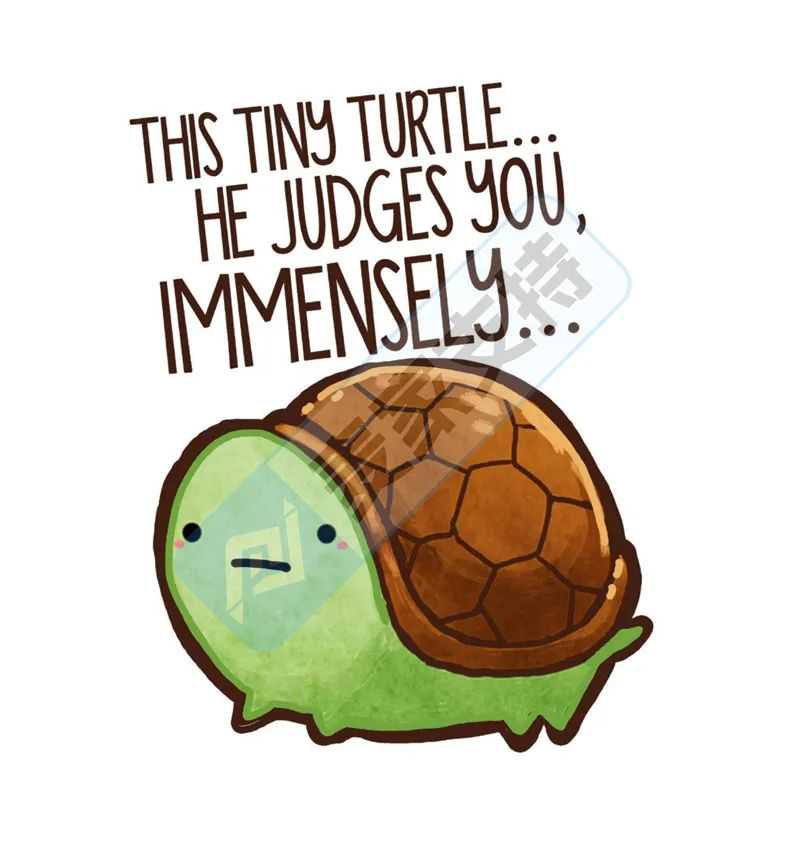 25-cv-09579,keith律所新案速递!花丛中的猫高危!