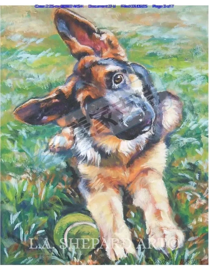 5-cv-00982，203店涉案被TRO冻结的狗狗版权，维权细节出炉啦！