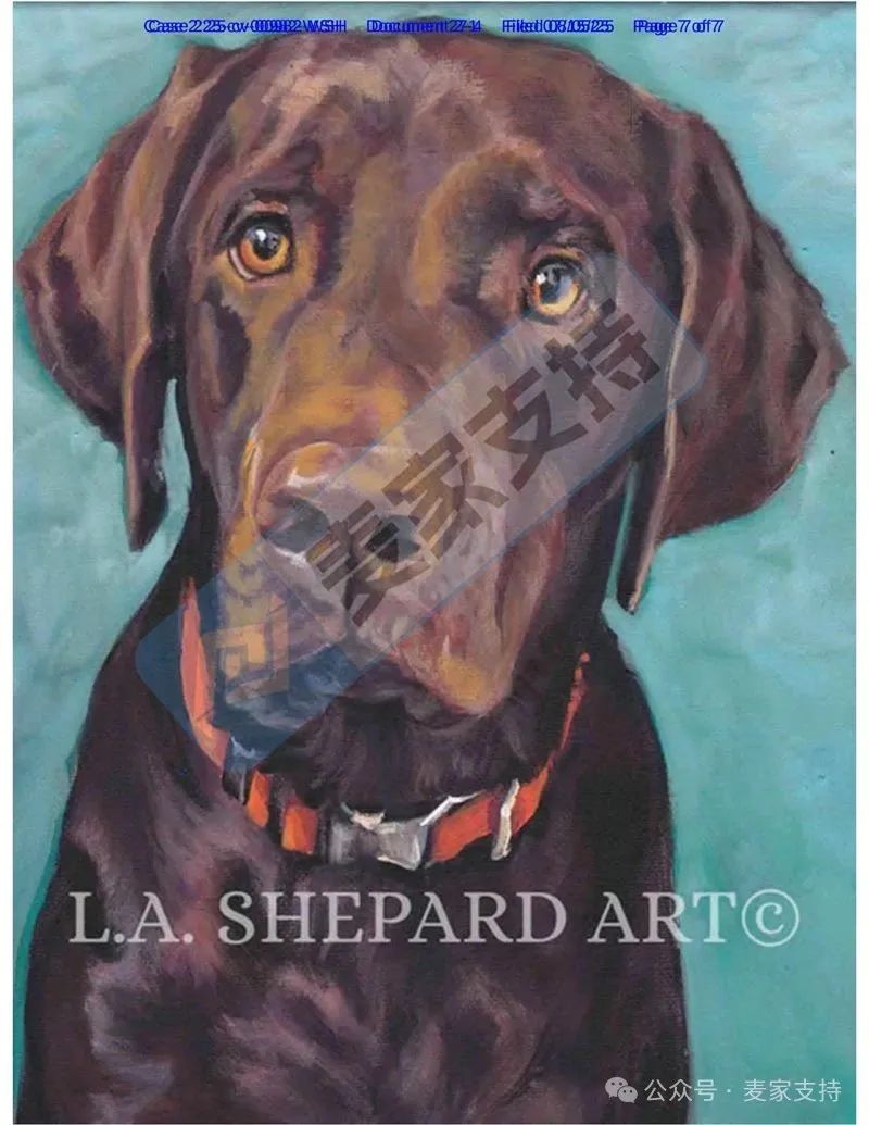 5-cv-00982，203店涉案被TRO冻结的狗狗版权，维权细节出炉啦！