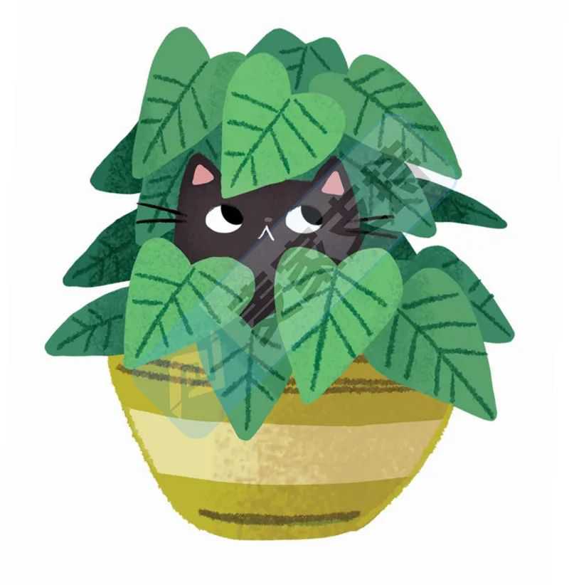 25-cv-09579,keith律所新案速递!花丛中的猫高危!