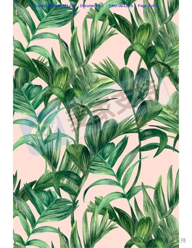 5-cv-01221，植物插画师Shelley