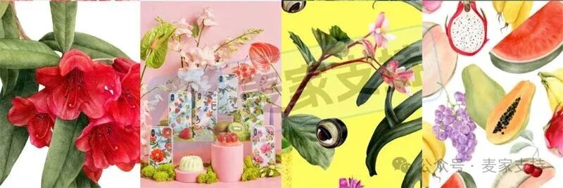 5-cv-01221，植物插画师Shelley