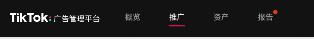 TikTok广告创建及推广投放技巧