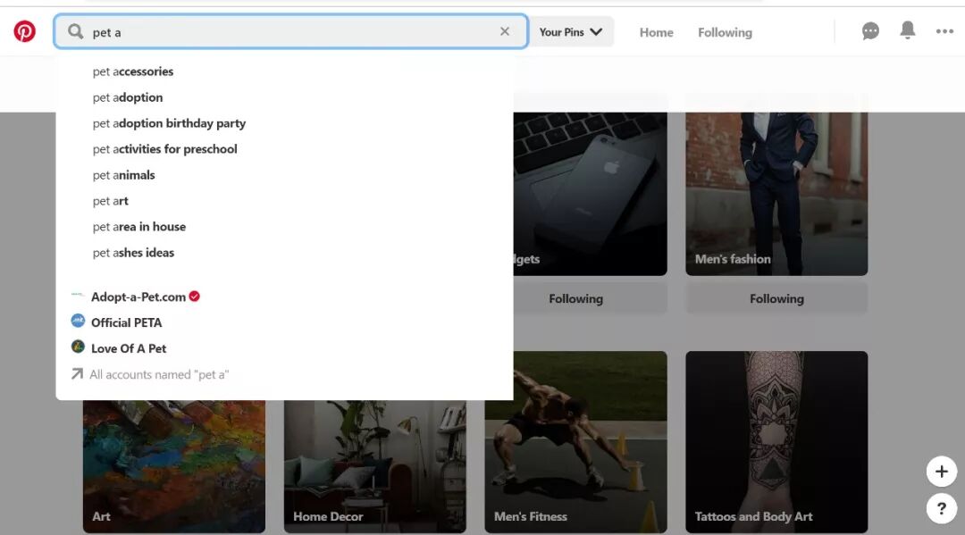 Pinterest-海外版小红薯