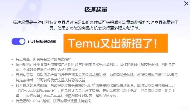Temu模式